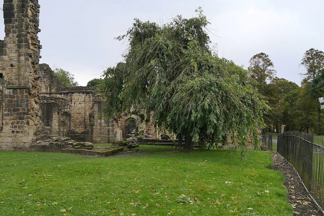 Afternoon Tea Near Leeds: Where to Book and What to Expect