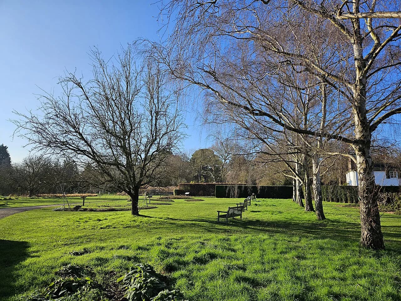 Cambridge University Botanic Garden: A Visitor's Guide