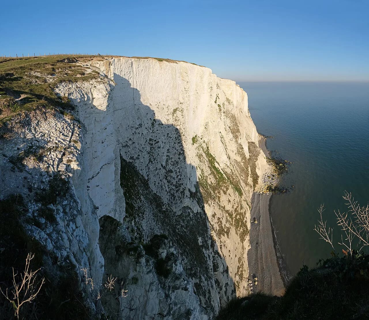 Dover Boat Trips: White Cliffs, Seals and Harbour Rides