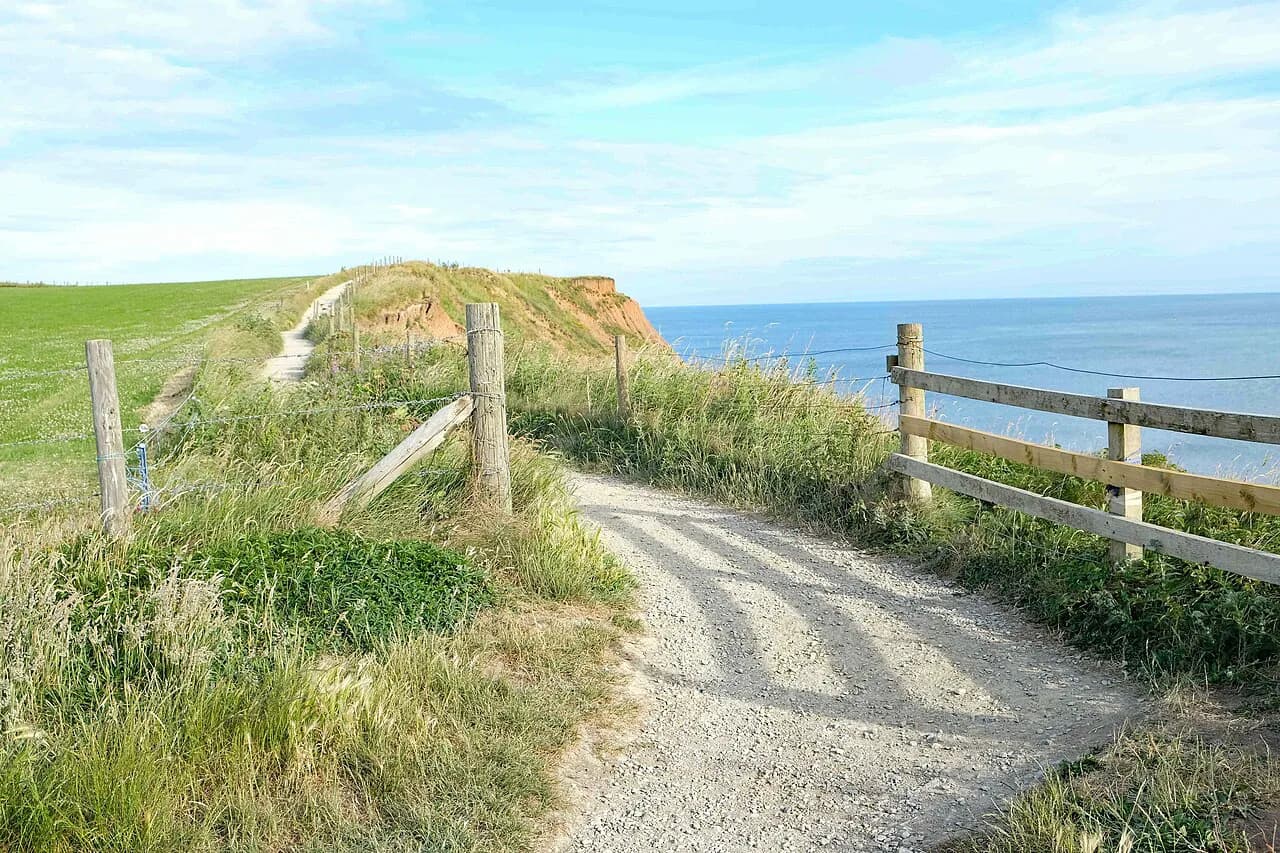 Ghost Tours in Whitby: Which Walk to Pick & What to Expect