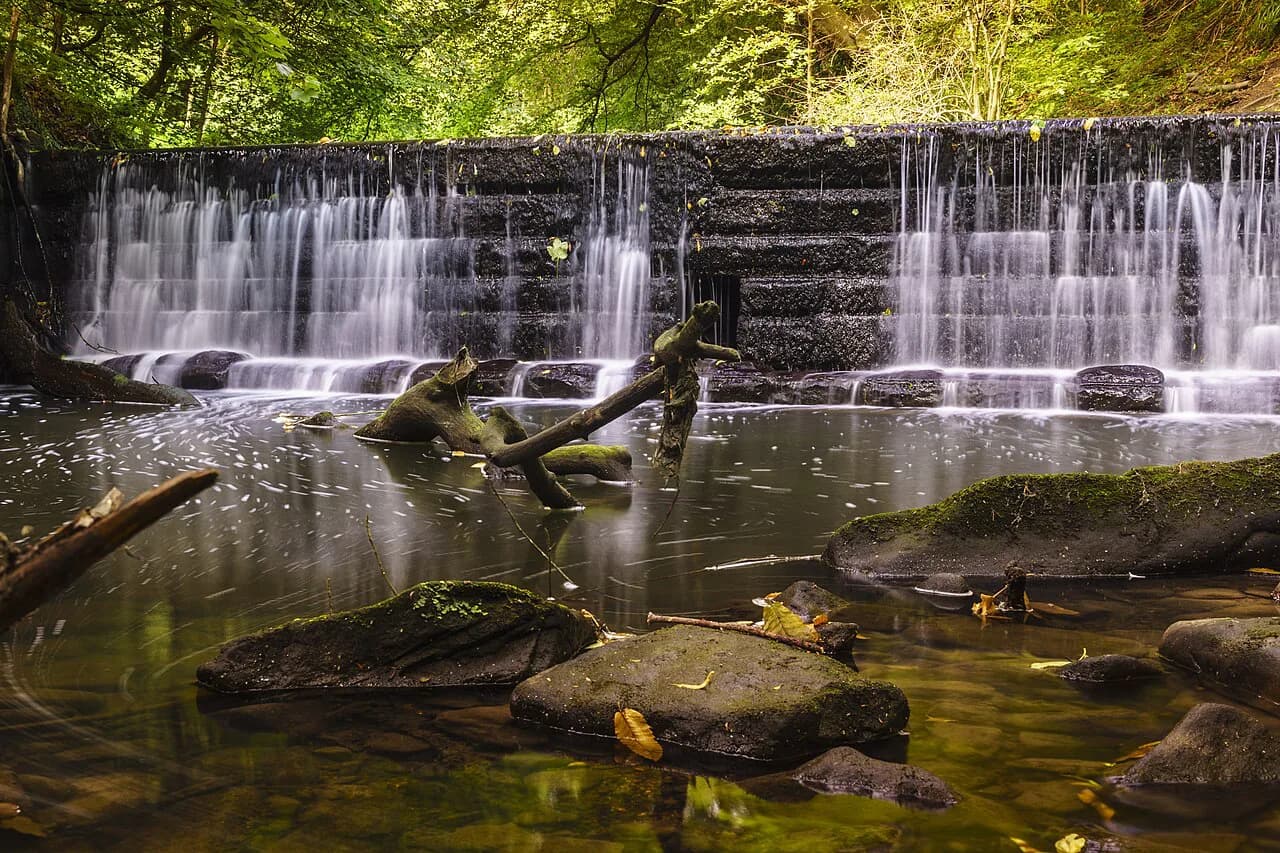 Jesmond Dene, Newcastle: What to See and Plan Your Visit