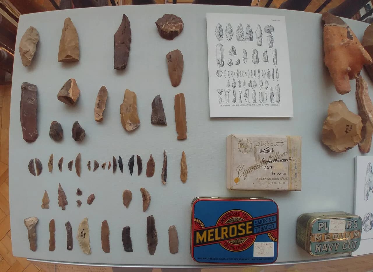 Museum of Archaeology and Anthropology Cambridge Guide