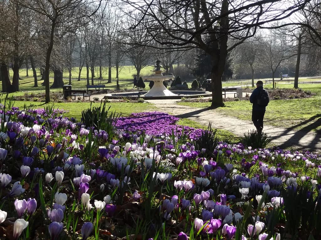 Parks in Aberdeen: Gardens, Green Spaces and Coastal Walks
