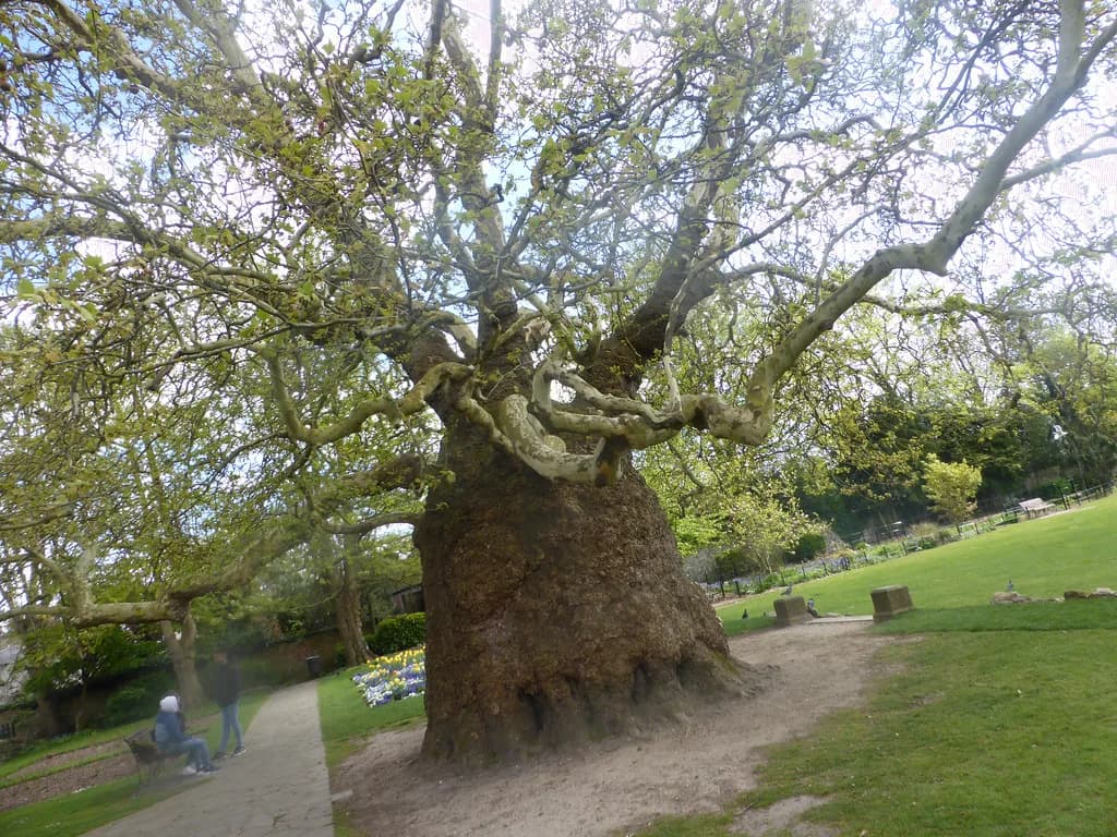 Parks in Canterbury: Gardens for Your City Break