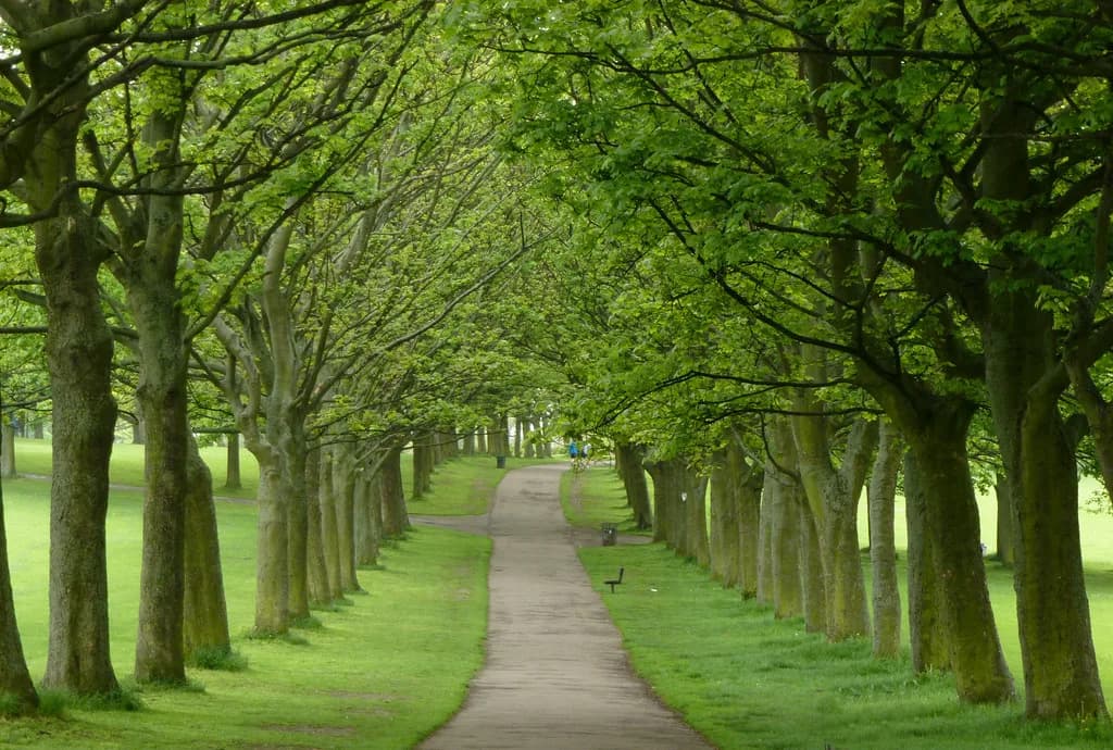 Parks in Leeds: Where to Walk, Picnic and Let Kids Run