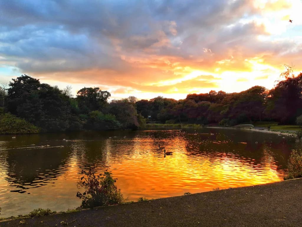 Parks in Newcastle: Green Spaces Worth Your Time