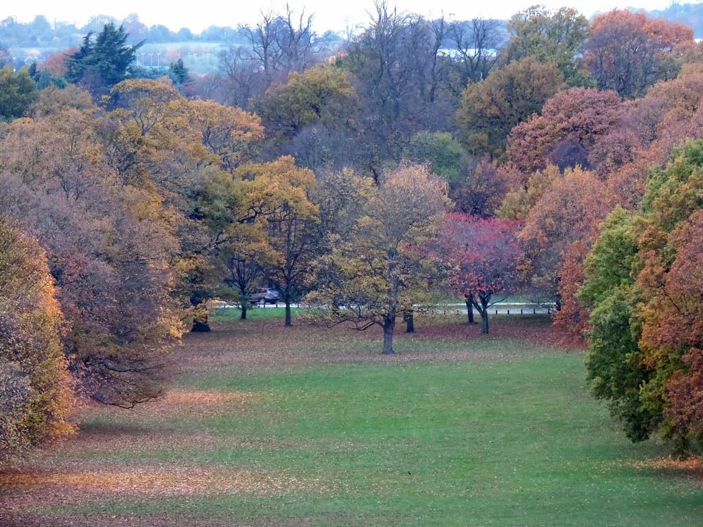 Parks in Nottingham: Formal Gardens to Country Parks