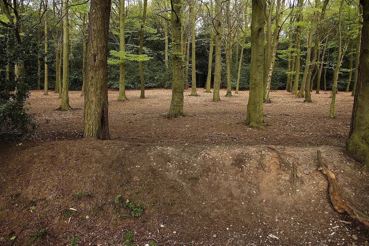 Sutton Park, Birmingham: A Visitor Guide to the Heathland
