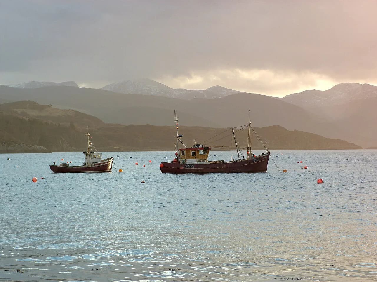 Ullapool Boat Trips: Wildlife Cruises and Sea Lochs