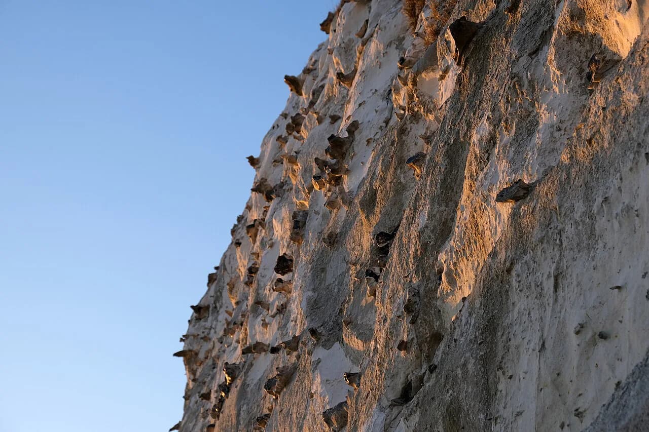 White Cliffs of Dover: What to See, Walks and Time Needed