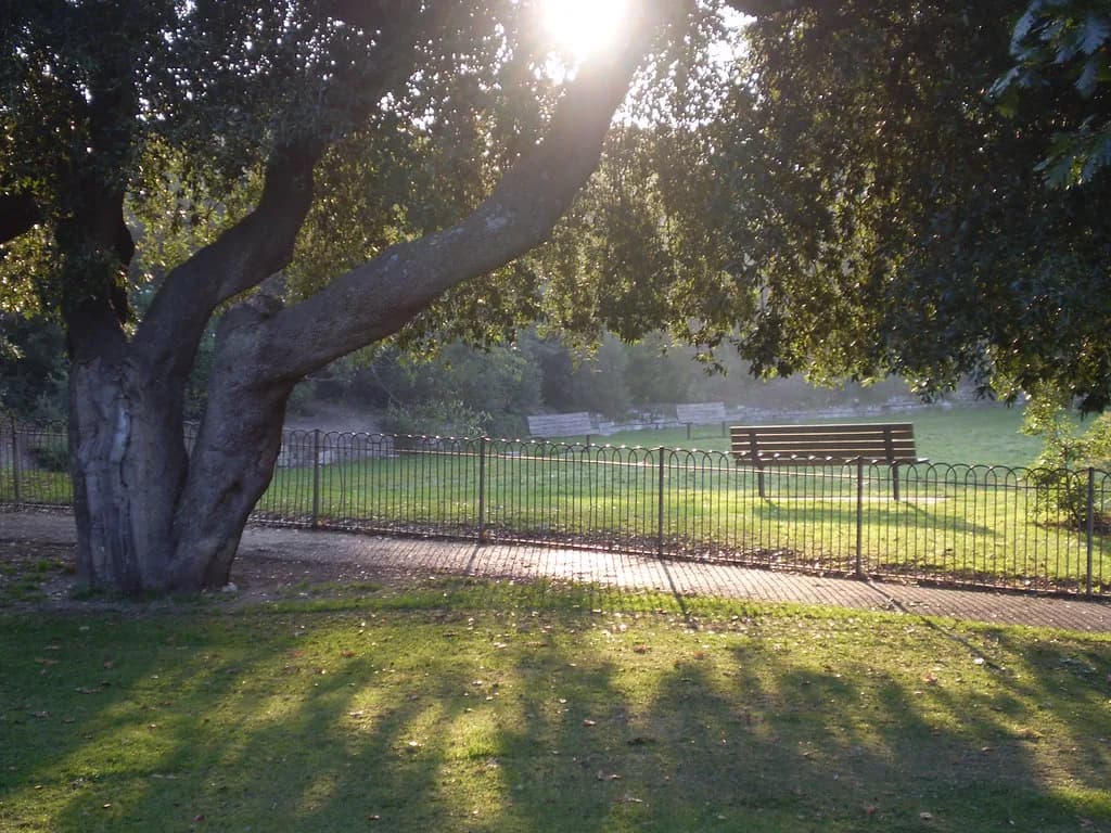 Parks in Brighton: Where to Go and What Each One Is Good For