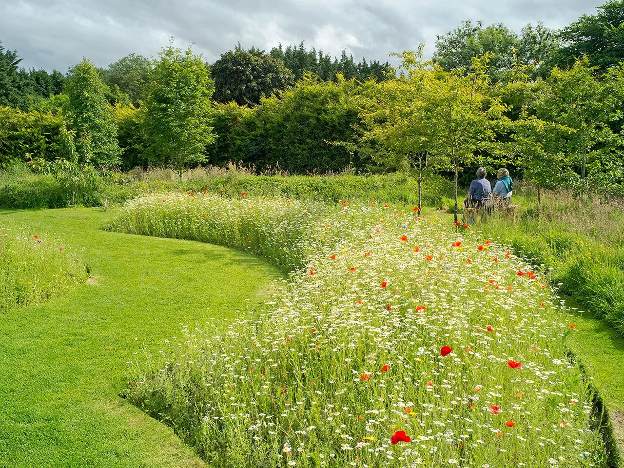 Meadow garden, Inverness Botanic Gardens - geograph.org.uk