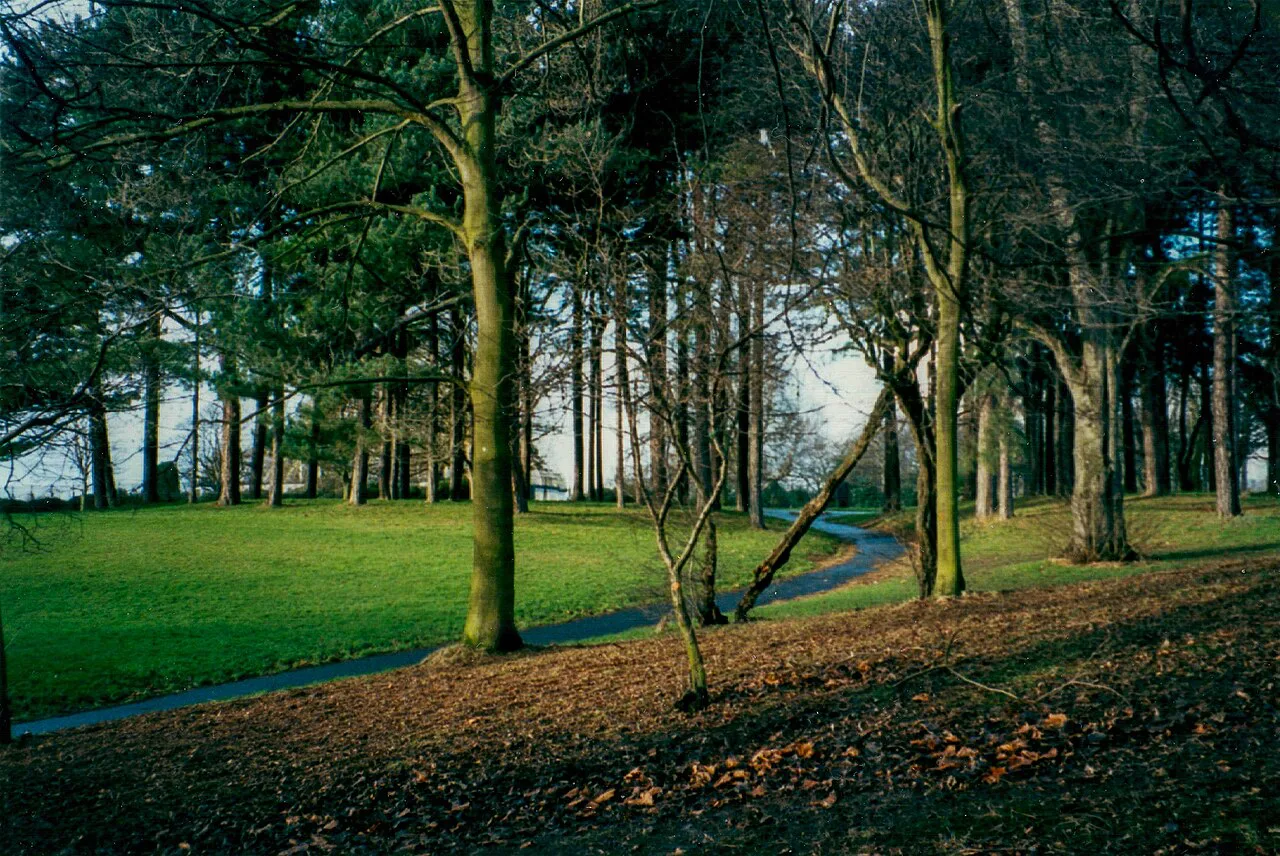 Trees in Sefton Park, Liverpool - geograph.org.uk