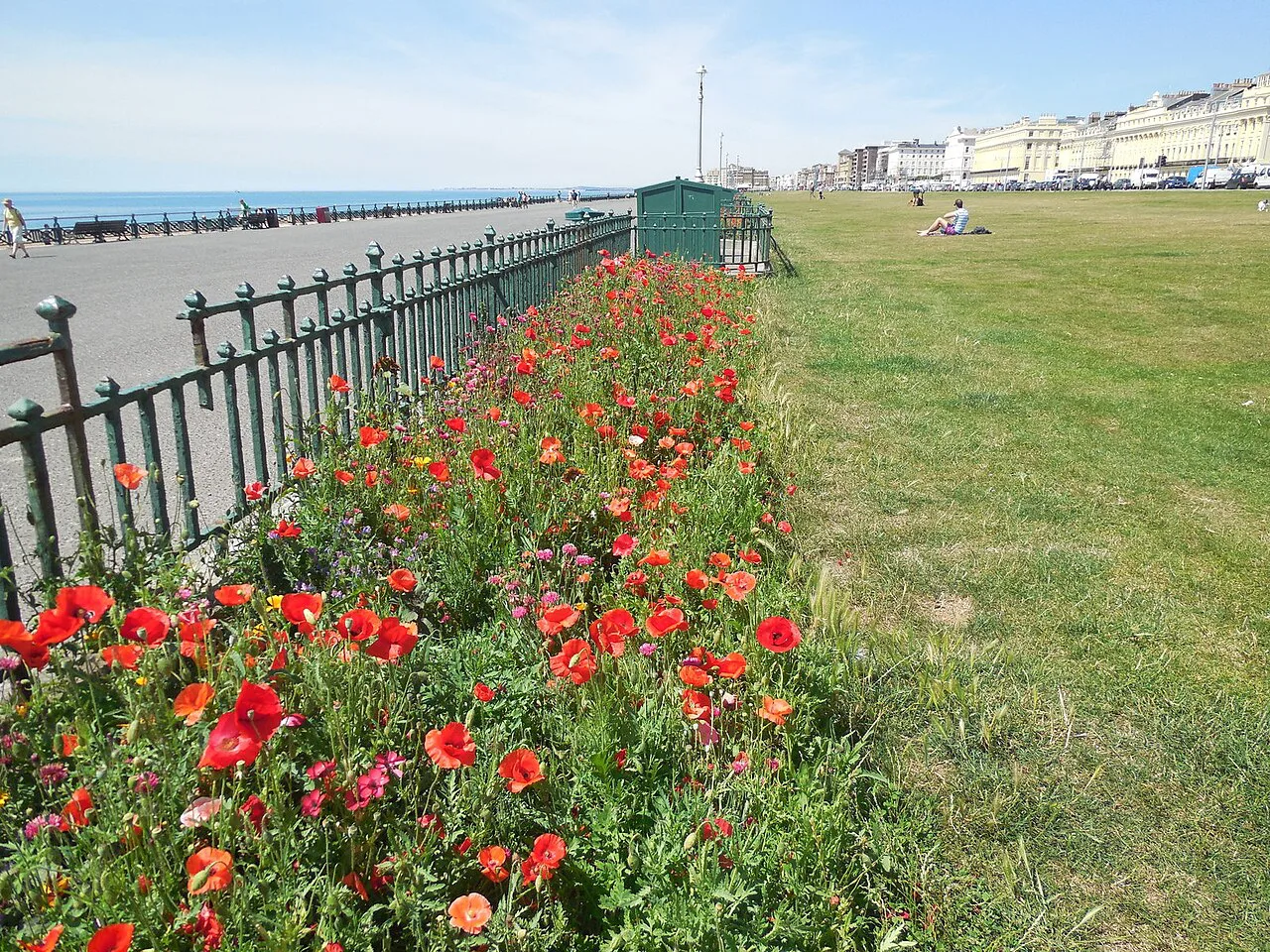 View of Brighton, United Kingdom