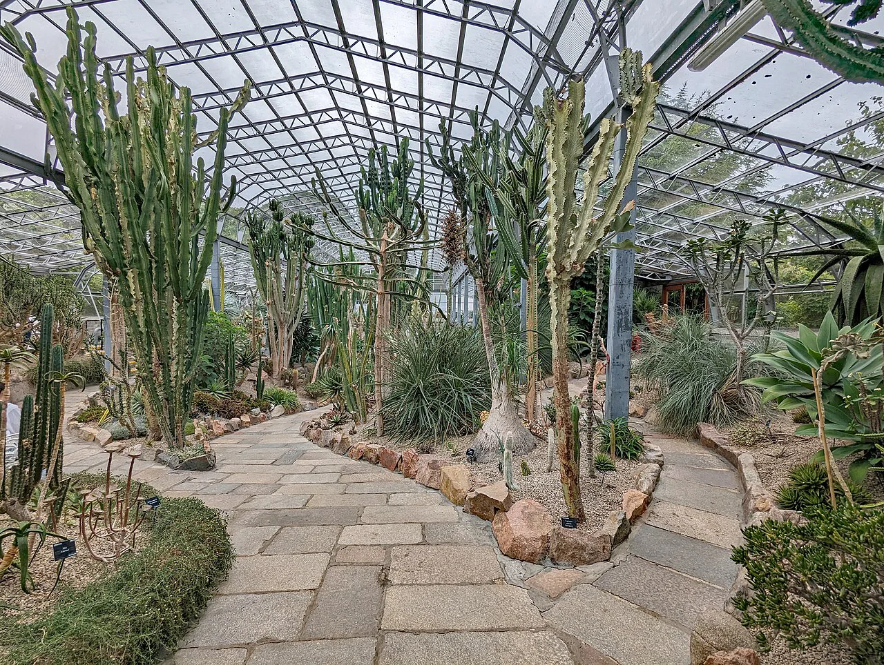 Aberdeen David Welch Winter Gardens