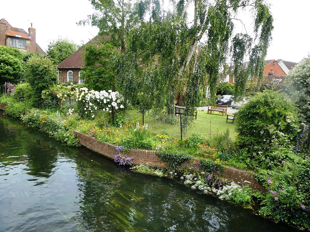 The Great Stour, Canterbury - geograph.org.uk