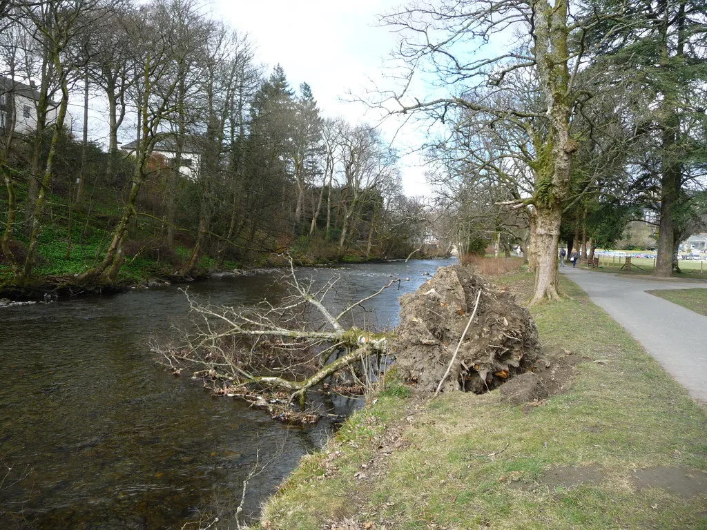 Fallen tree, Fitz Park, Keswick - geograph.org.uk