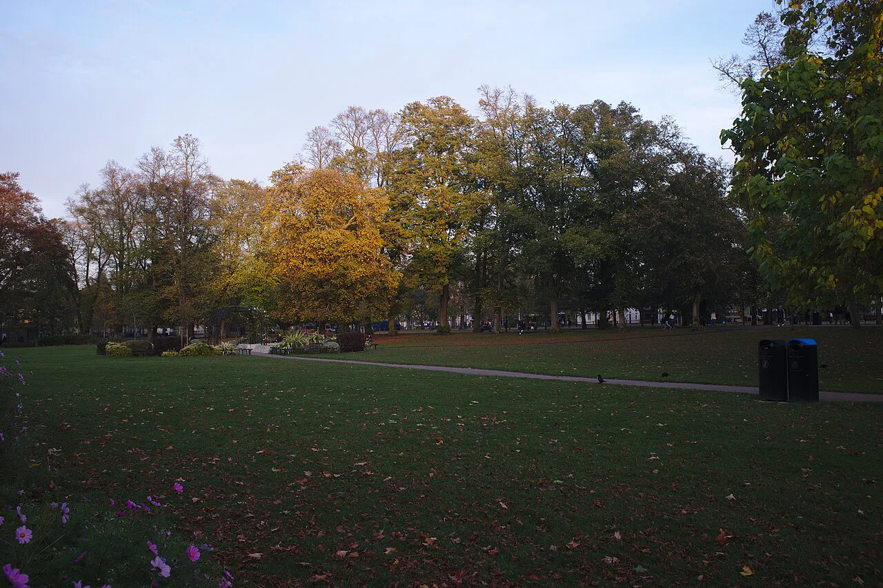 Town Centre Trees - geograph.org.uk, Cambridge