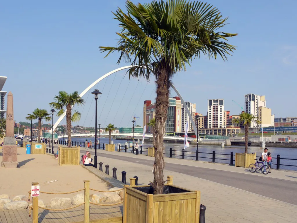 Palm Beach on Newcastle Quayside (geograph )